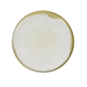 Тарелка с бортом 24см, Sand Wind, Kutahya