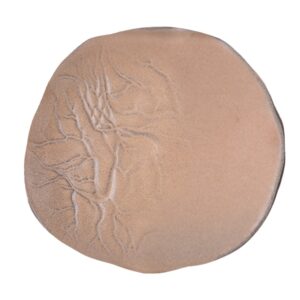 Taupe Тарелка 29см Roots [6]